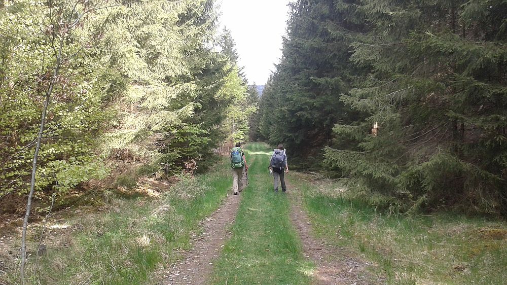 Soonwaldsteig