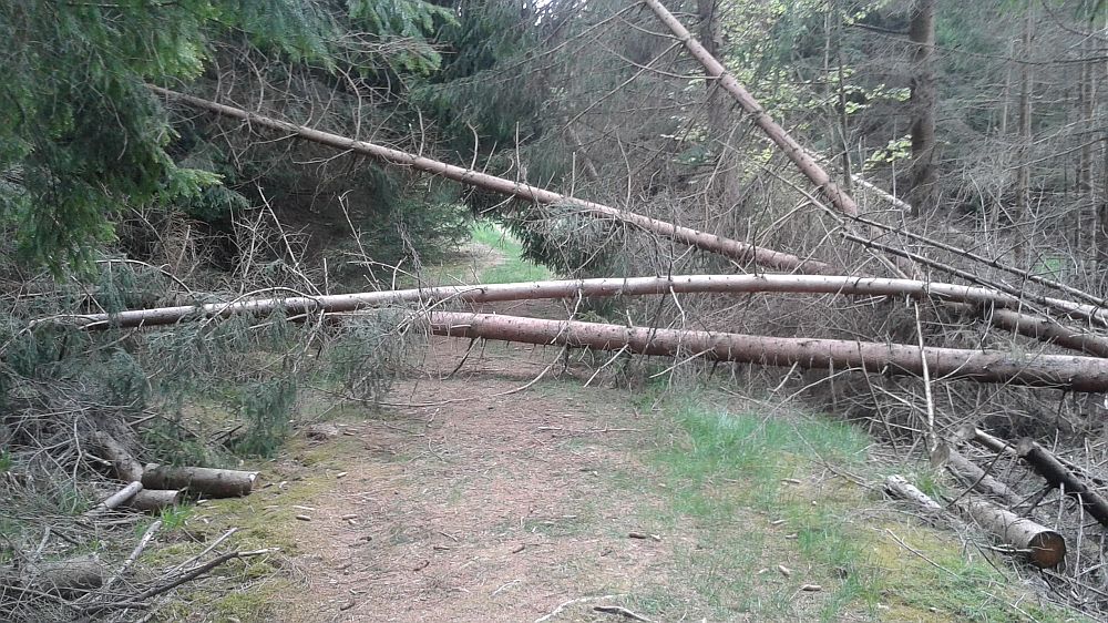 Soonwaldsteig