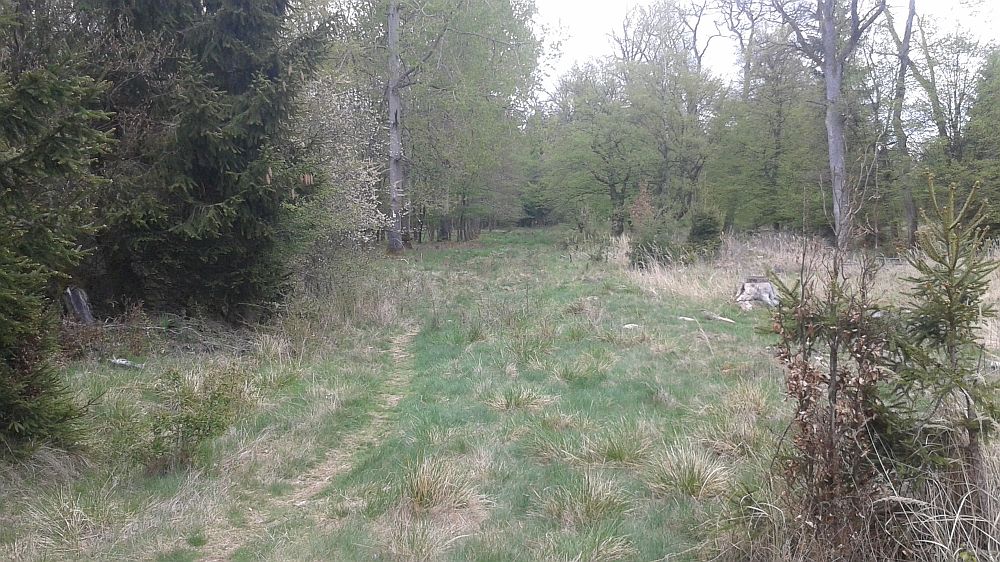 Soonwaldsteig