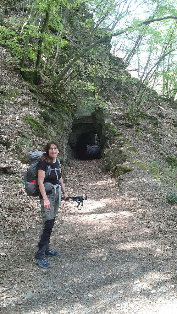 Soonwaldsteig