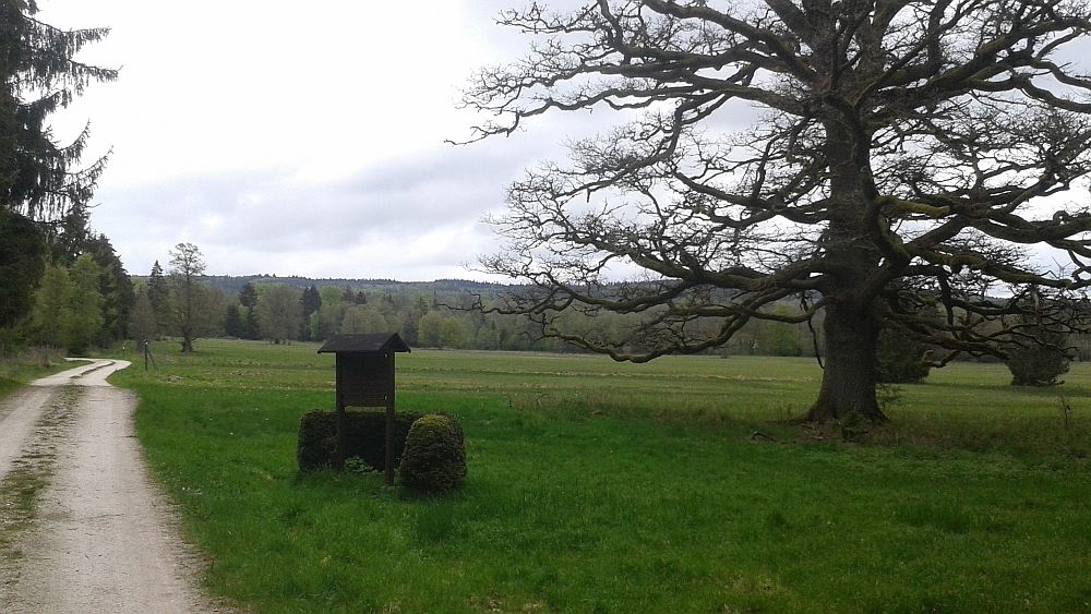 Soonwaldsteig