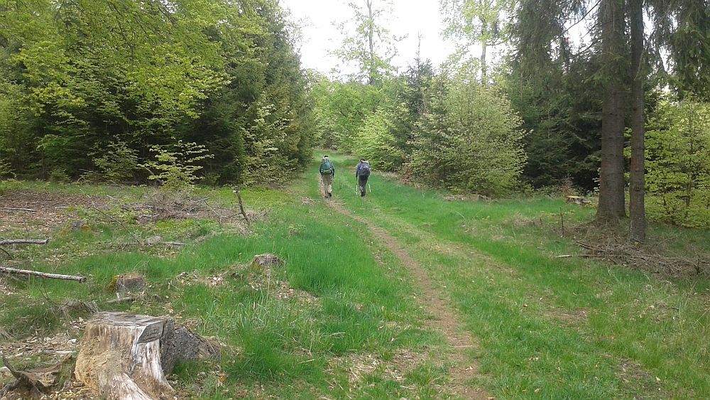 Soonwaldsteig