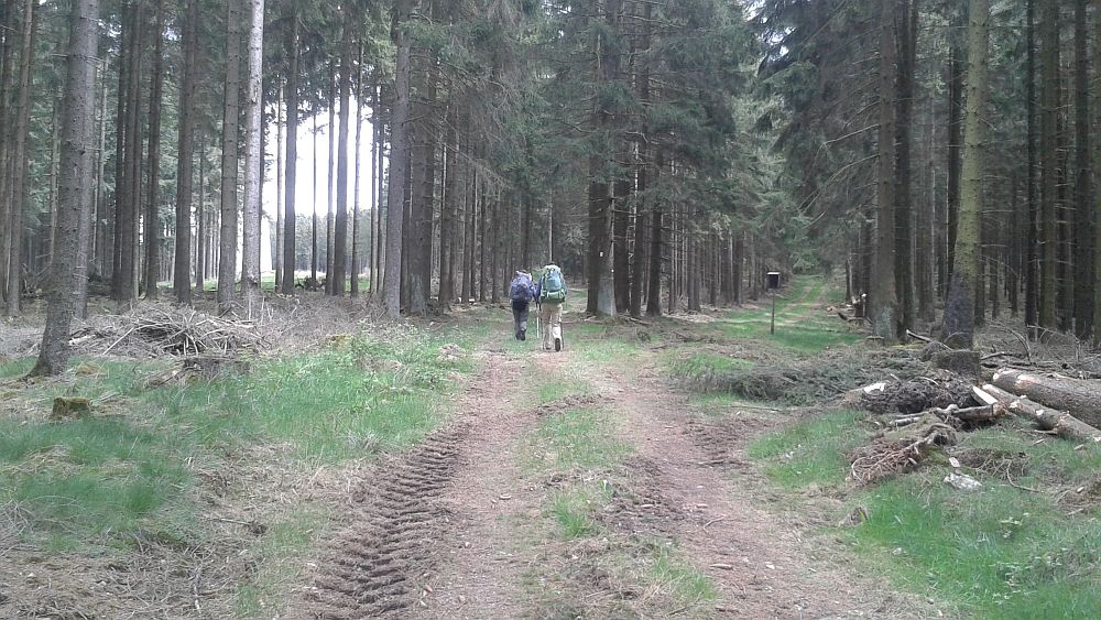 Soonwaldsteig