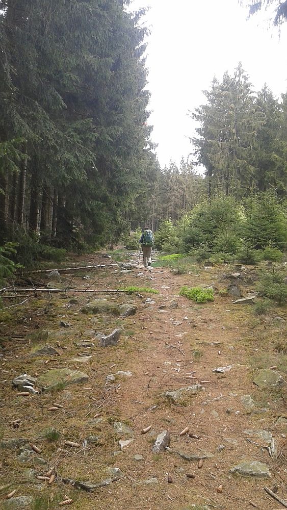 Soonwaldsteig
