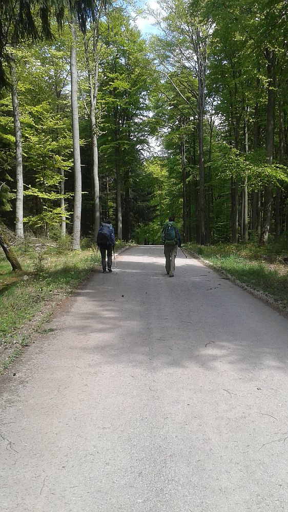 Soonwaldsteig