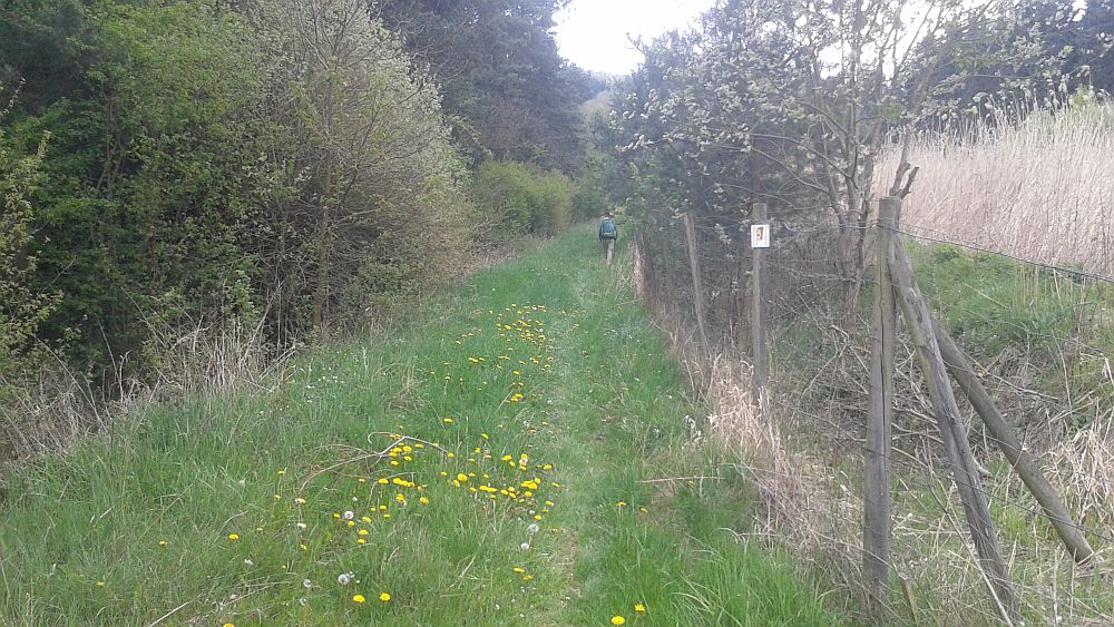 Soonwaldsteig