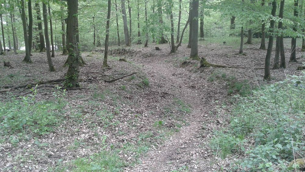 Soonwaldsteig