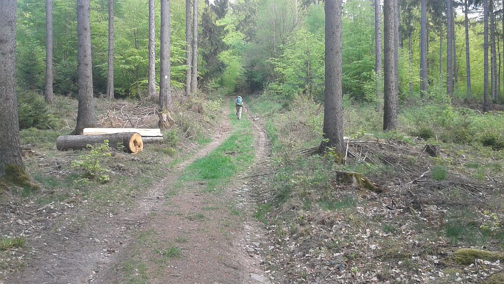 Soonwaldsteig
