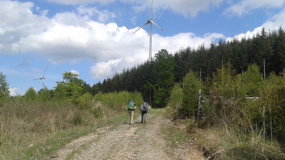 Soonwaldsteig