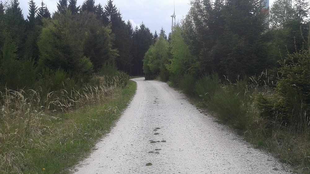 Soonwaldsteig