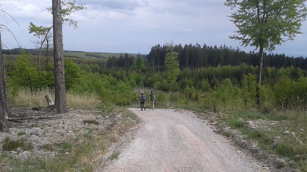 Soonwaldsteig
