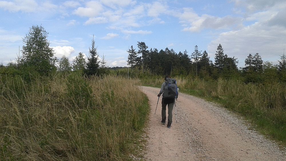 Soonwaldsteig