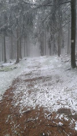 Soonwaldsteig