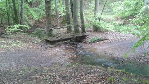 Soonwaldsteig