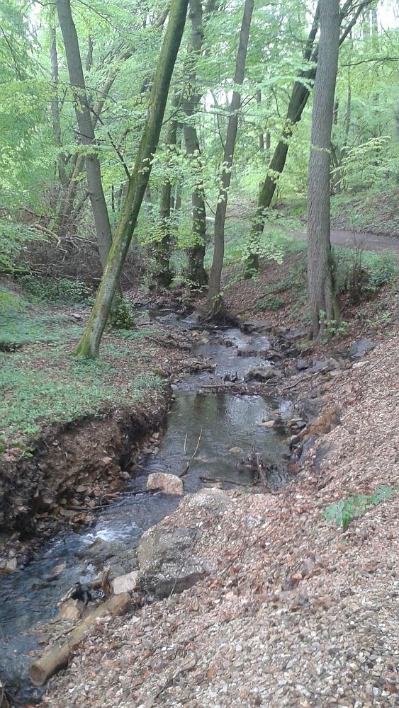 Soonwaldsteig