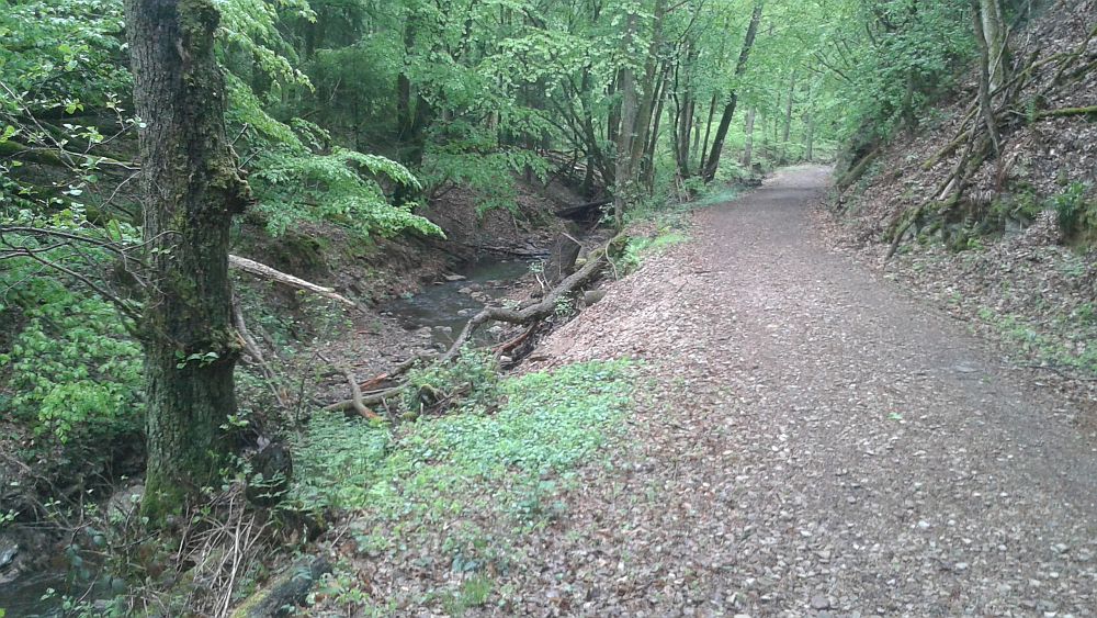 Soonwaldsteig