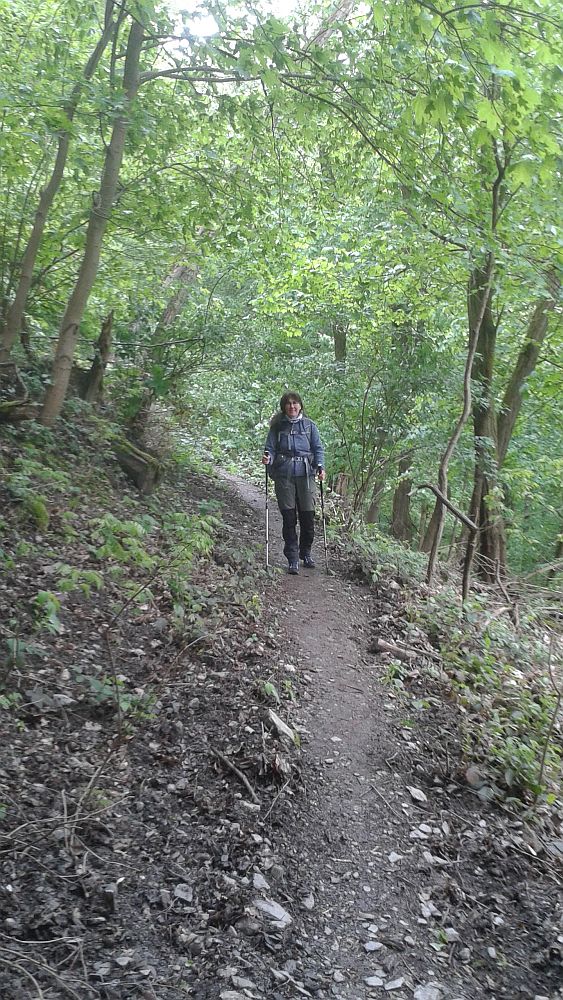 Soonwaldsteig
