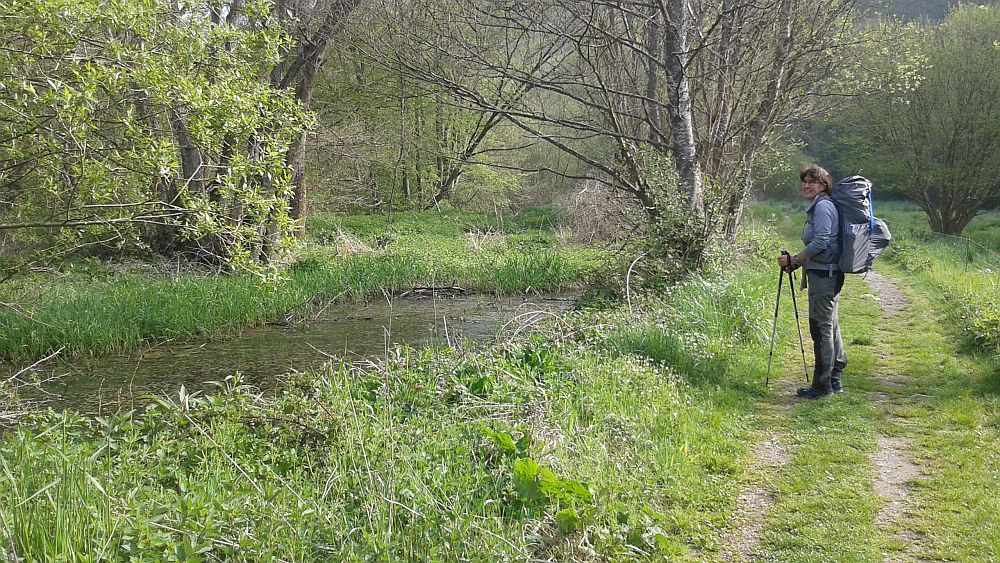 Soonwaldsteig