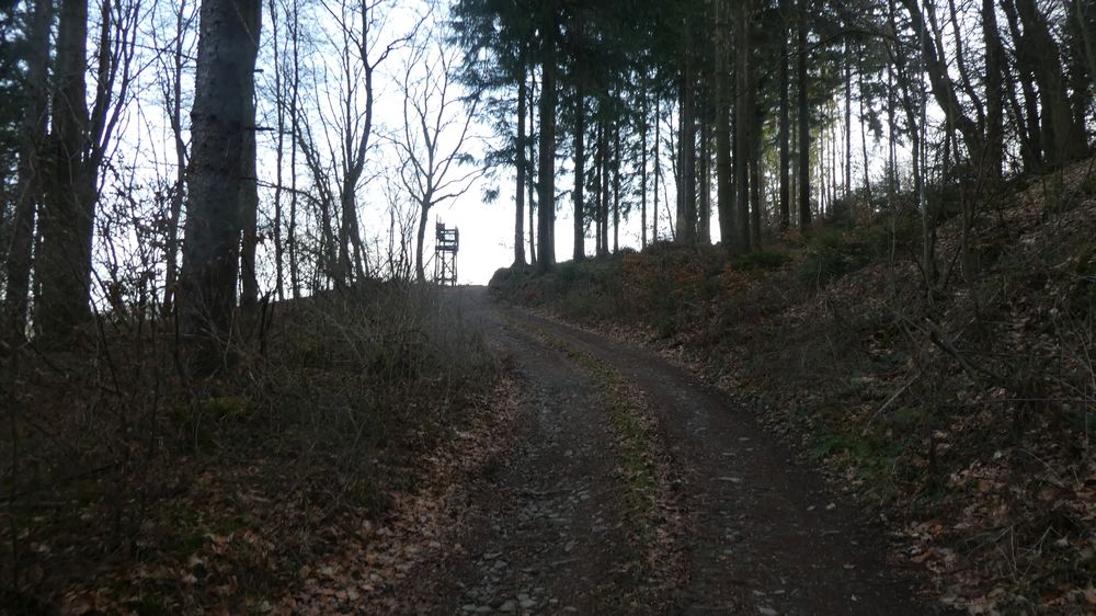 Großes Sonnenstück