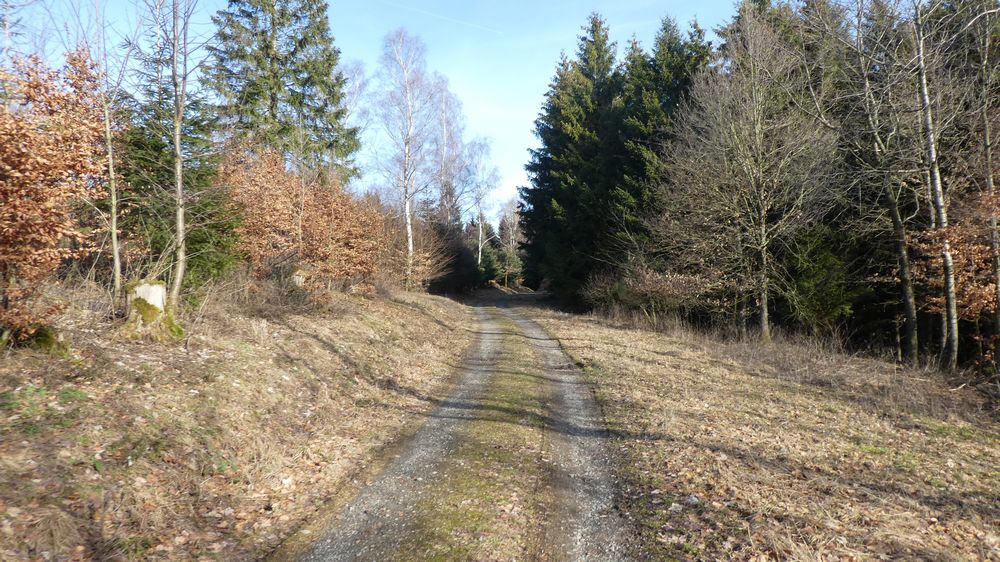 Großes Sonnenstück