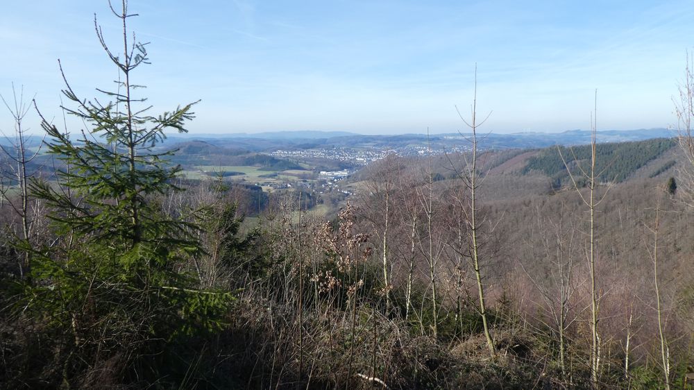 Großes Sonnenstück