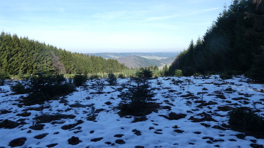 Großes Sonnenstück