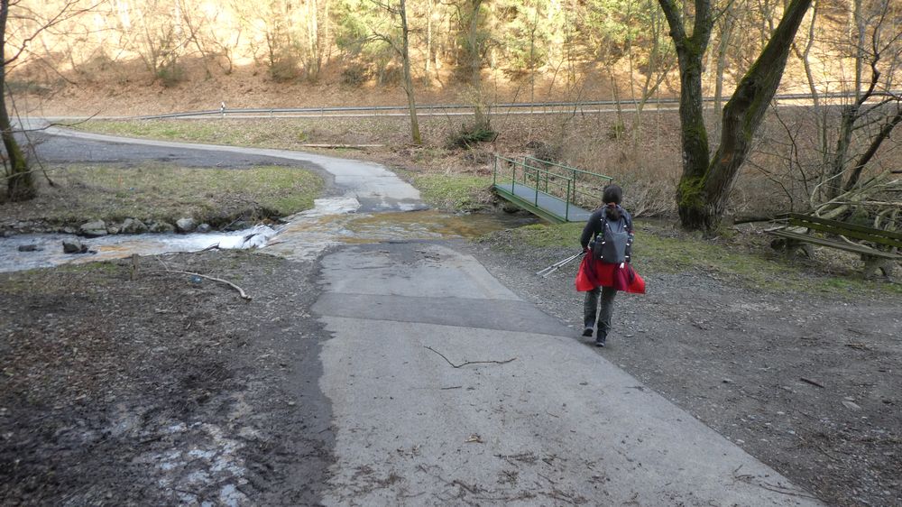 Großes Sonnenstück