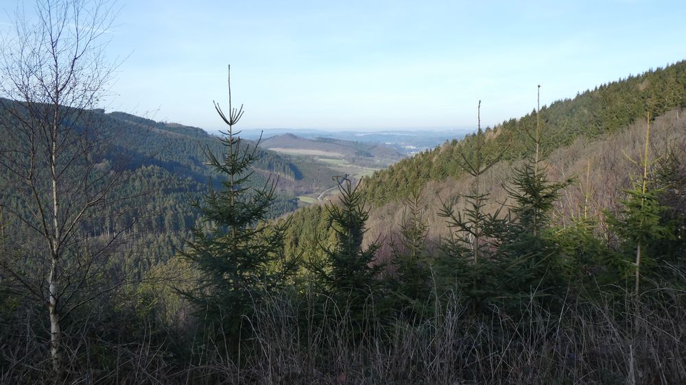 Großes Sonnenstück