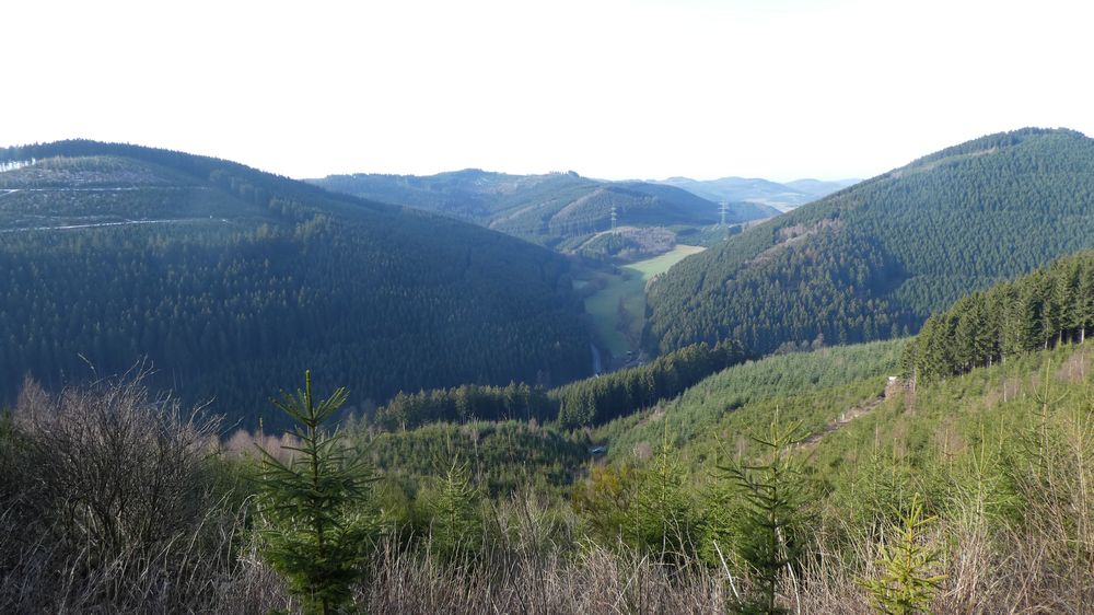 Großes Sonnenstück
