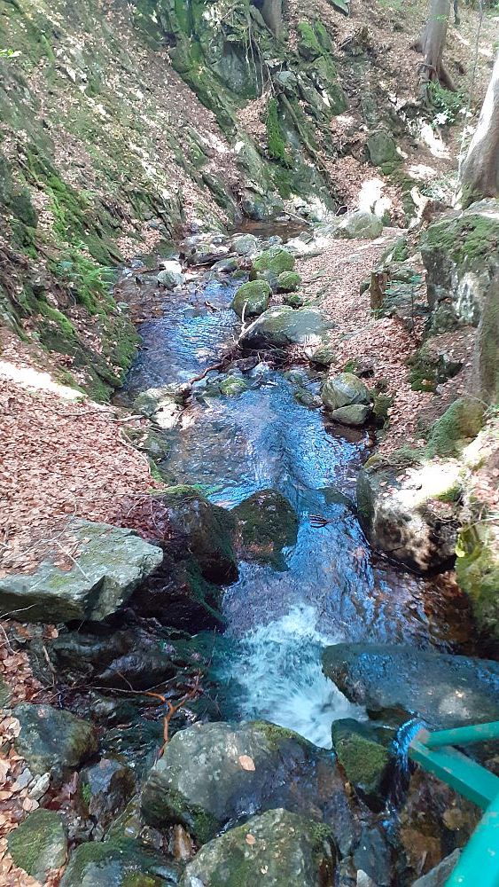 Todnauer Wasserfallsteig