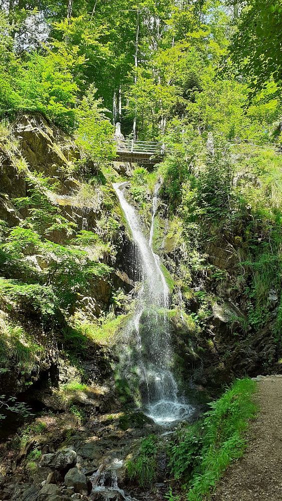 Todnauer Wasserfallsteig