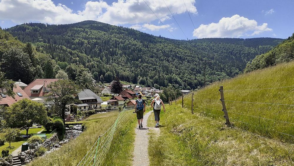 Todnauer Wasserfallsteig
