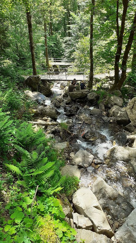Todnauer Wasserfallsteig