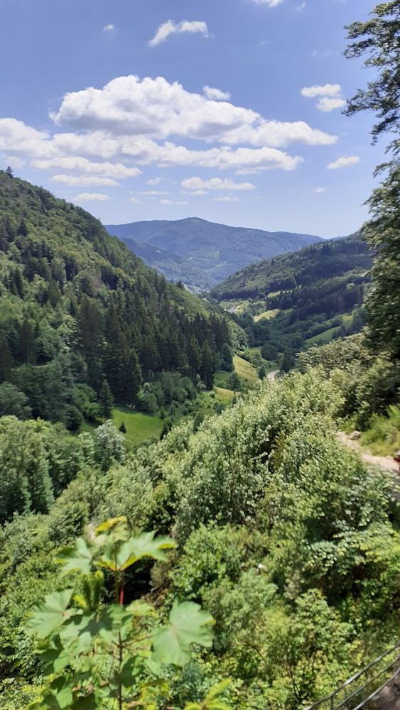 Todnauer Wasserfallsteig
