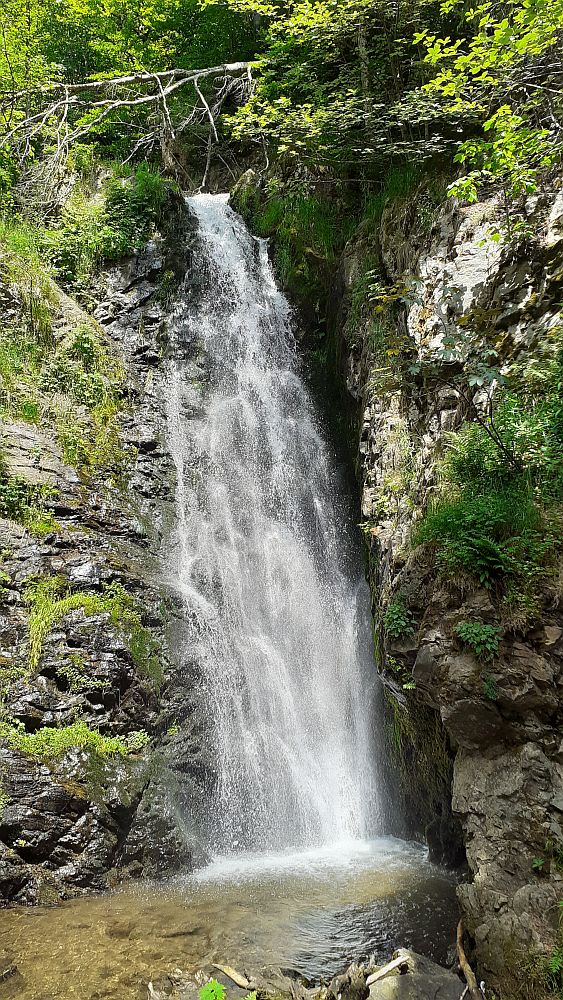 Todnauer Wasserfallsteig