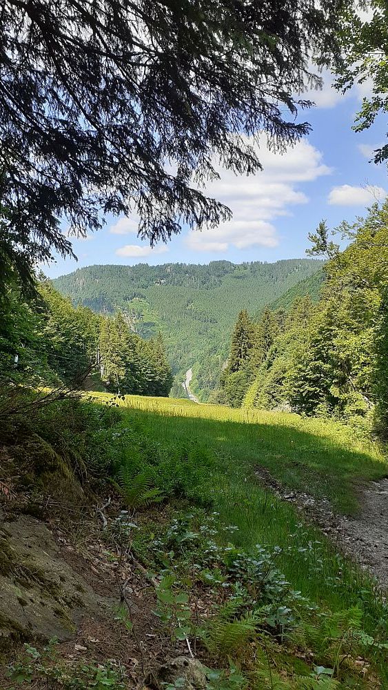 Todnauer Wasserfallsteig
