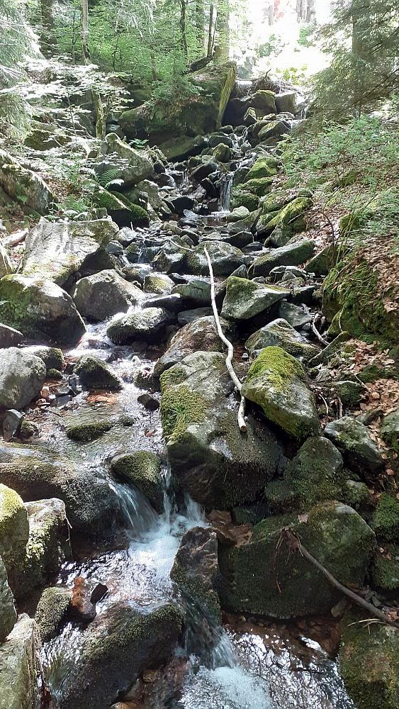 Todnauer Wasserfallsteig