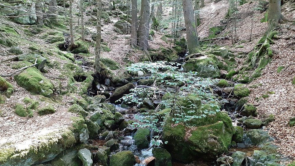 Todnauer Wasserfallsteig