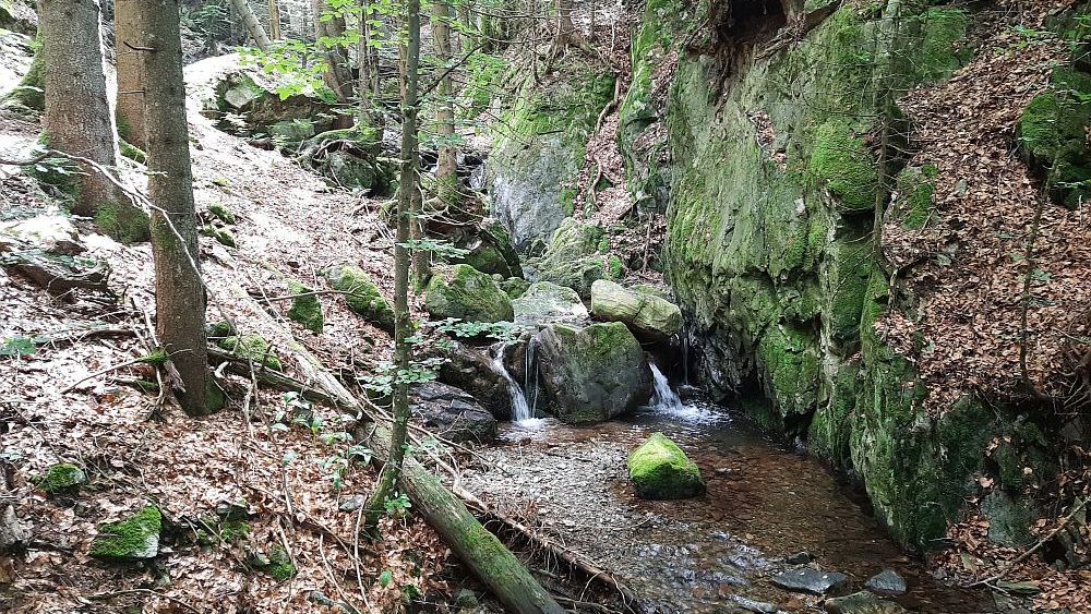 Todnauer Wasserfallsteig