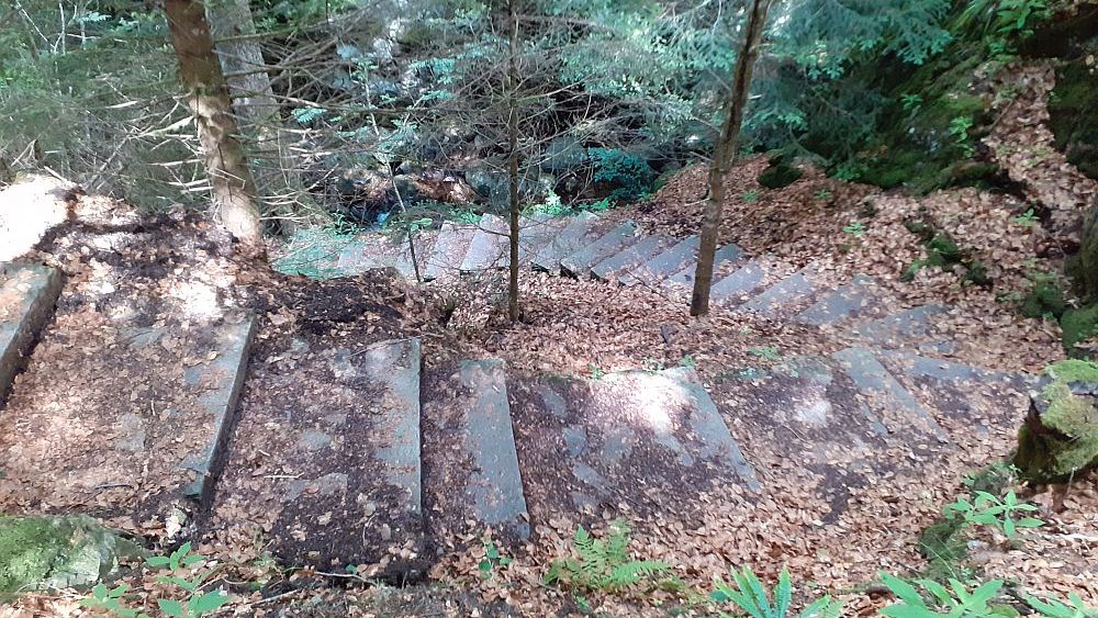 Todnauer Wasserfallsteig