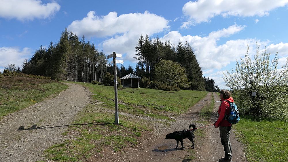 Bergheiden- und Wacholderweg