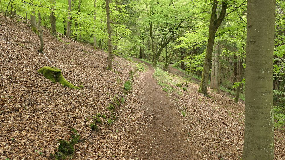 Bergheiden- und Wacholderweg