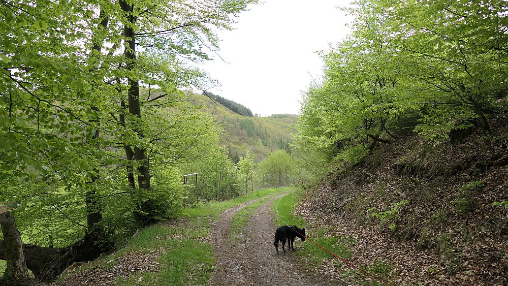 Bergheiden- und Wacholderweg