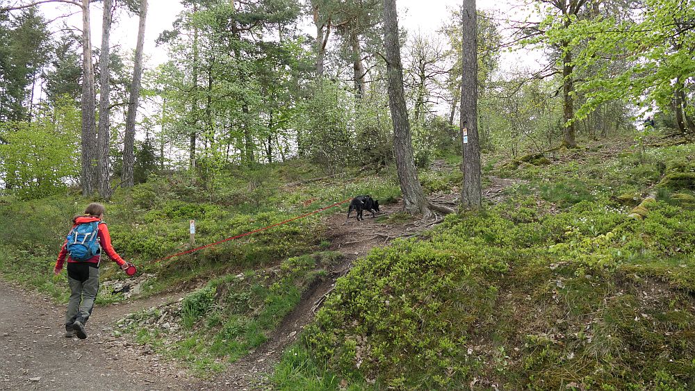 Bergheiden- und Wacholderweg