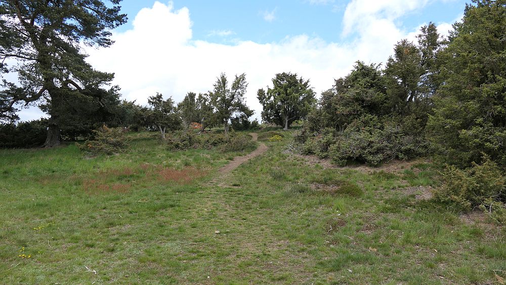 Bergheiden- und Wacholderweg