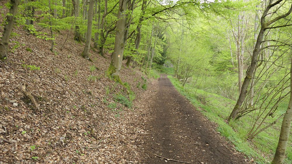 Bergheiden- und Wacholderweg