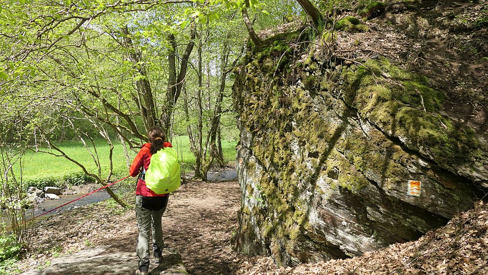 Bergheiden- und Wacholderweg