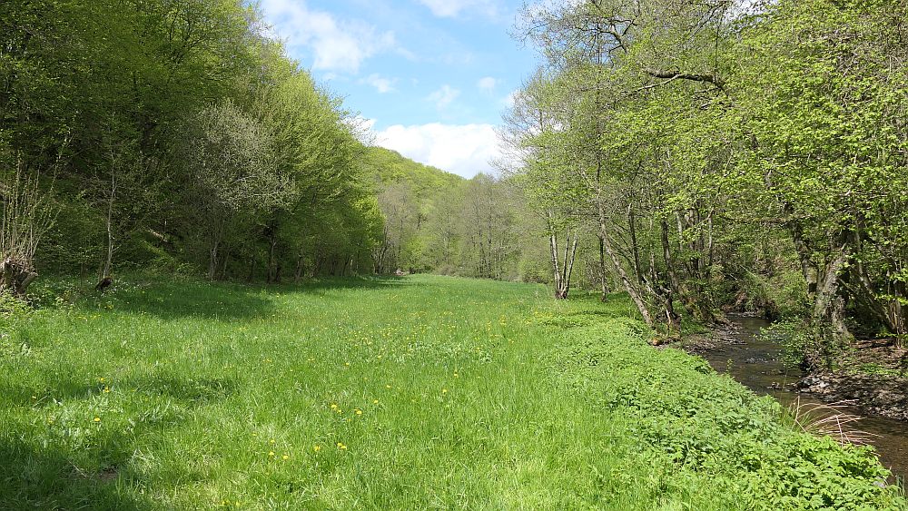 Bergheiden- und Wacholderweg