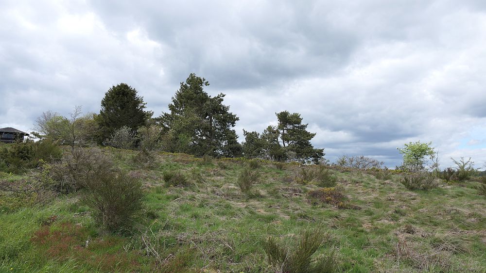 Bergheiden- und Wacholderweg