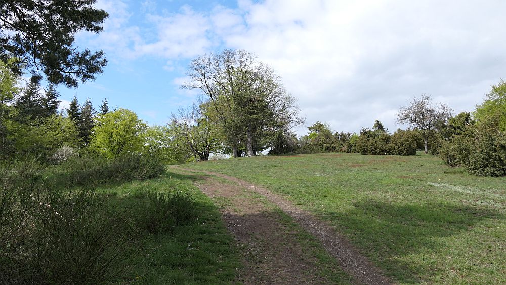 Bergheiden- und Wacholderweg